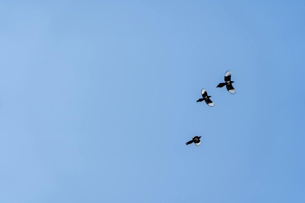 Découvrez le vrai prix d'un caisson de flottaison !